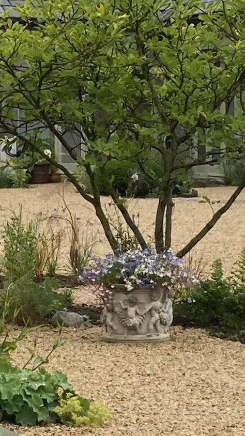 The Garden Rooms At The Courtyard,Townley Hall ドロイダ エクステリア 写真